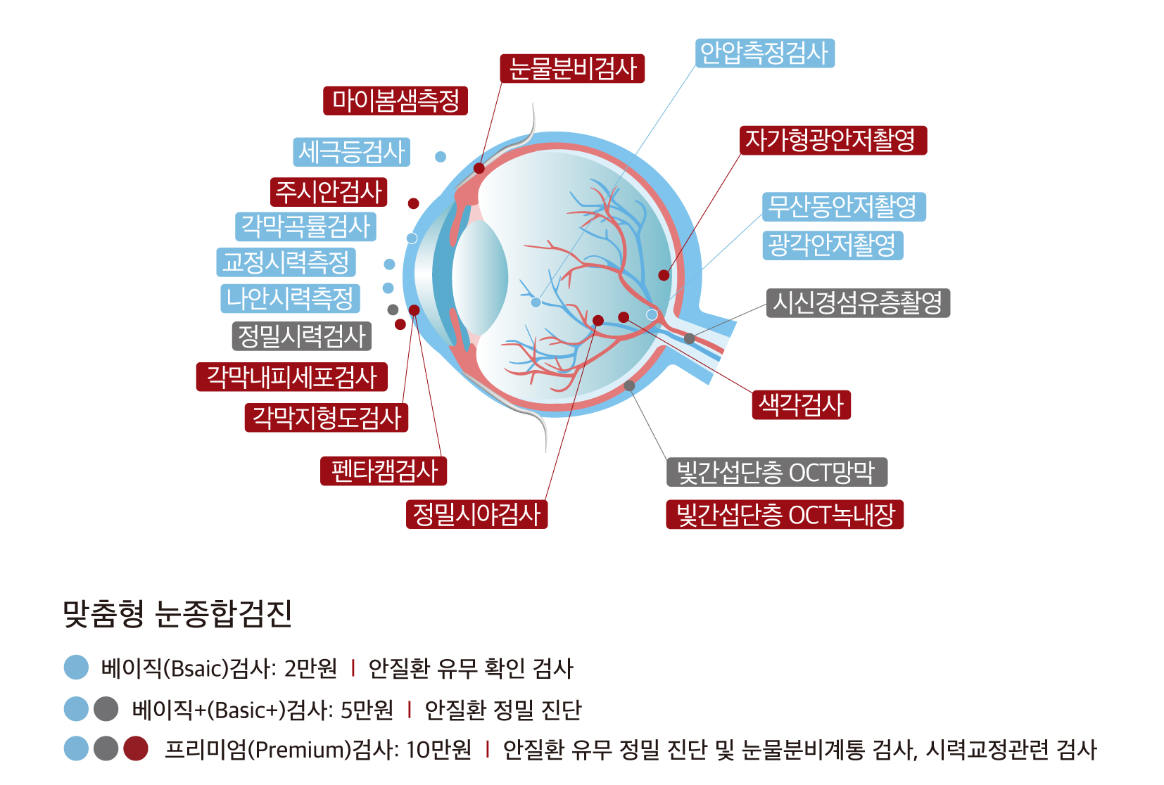 시력검사,녹내장,망막질환,백내장, 눈에 관한 모든 검사가 가능 - 눈종합검진-더참안과